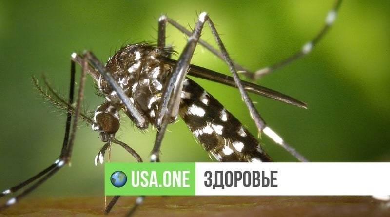 Американка умерла от чрезвычайно редкого вируса, который передается с укусом комара