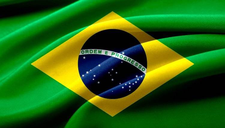 Бразилия открыла рынок для российской говядины и продуктов