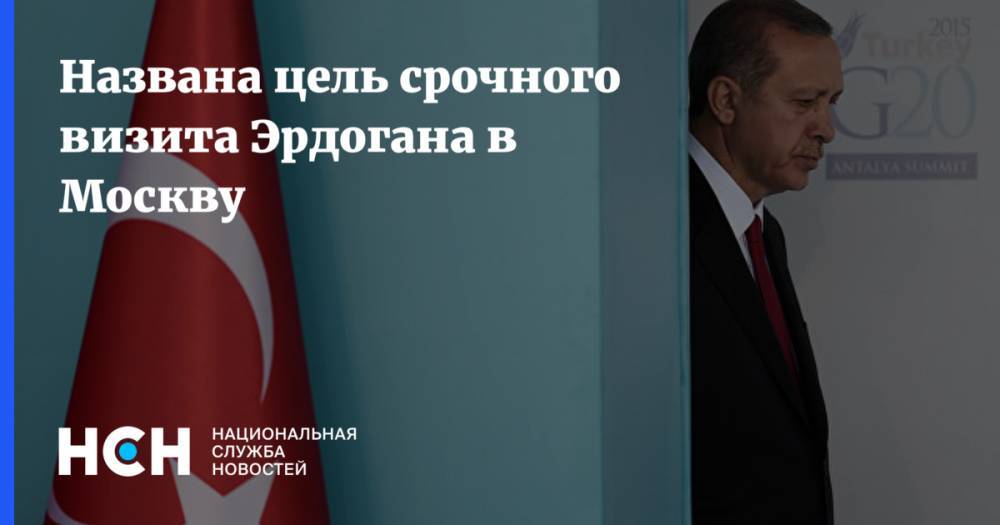 Названа цель срочного визита Эрдогана в Москву