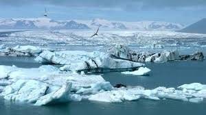 Компания British Petroleum отреагировала на возможный доступ к арктическому шельфу России