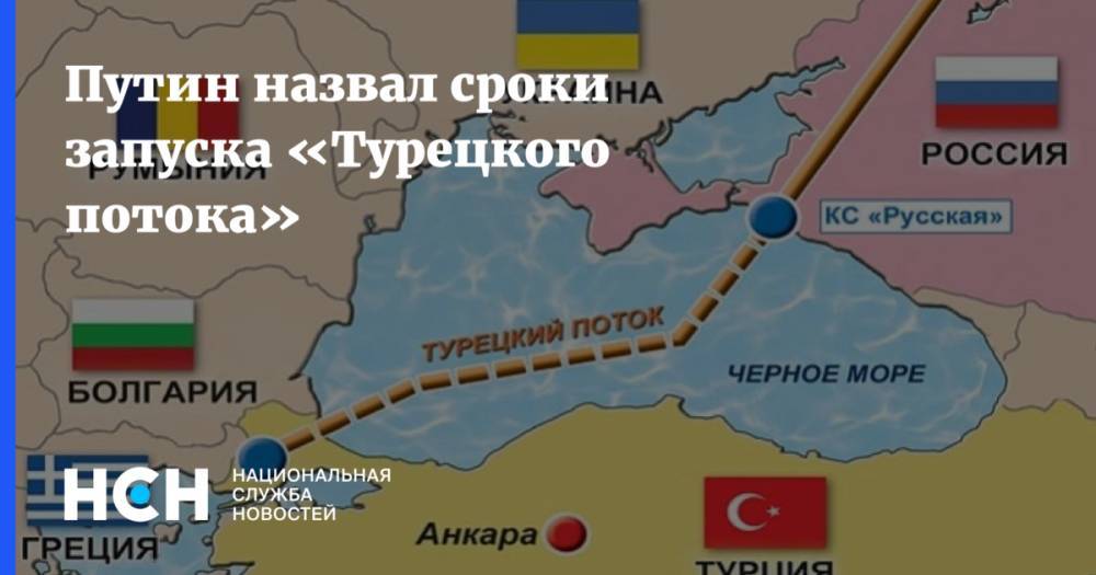 Путин назвал сроки запуска «Турецкого потока»