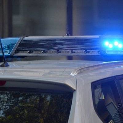 Полиция проверяет обстоятельств нападения ротвейлера в Липецкой области