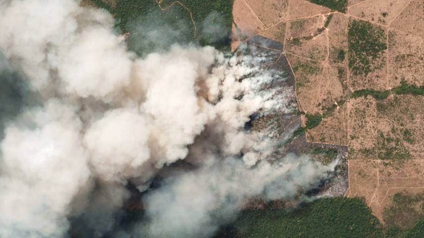 Леонардо Ди Каприо выделит $5 млн на борьбу с пожарами в лесах Амазонии