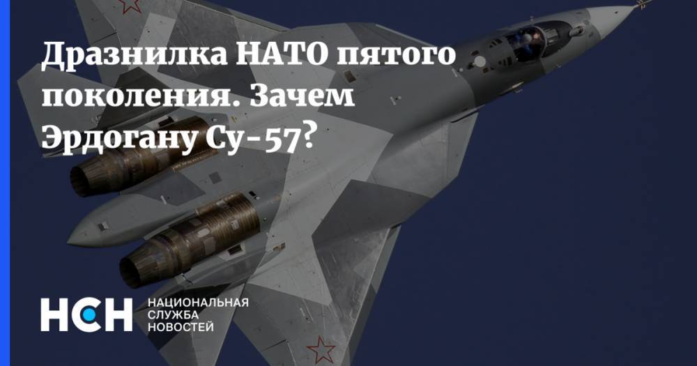 Дразнилка НАТО пятого поколения. Зачем Эрдогану Су-57?
