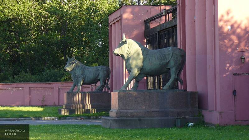Парк с детской и спортивной площадками может появиться на месте мясокомбината в Петербурге
