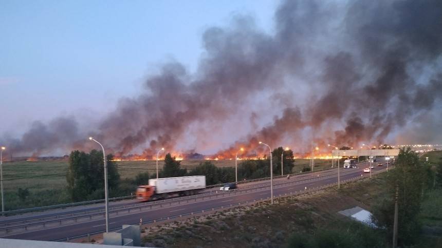 Крупный пожар на камышовом поле напугал жителей Ростова