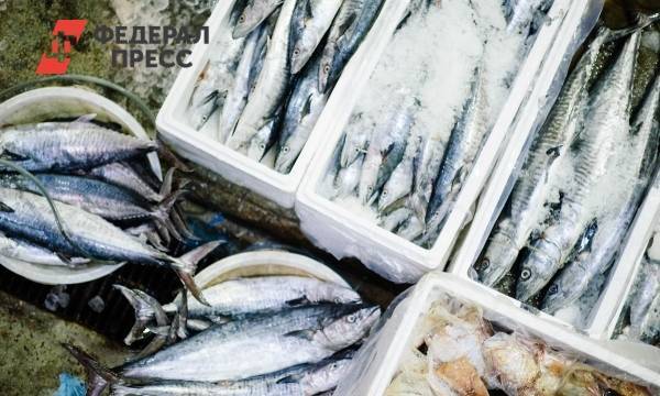Россияне потребляют рыбы на пять килограммов меньше нормы | Москва | ФедералПресс