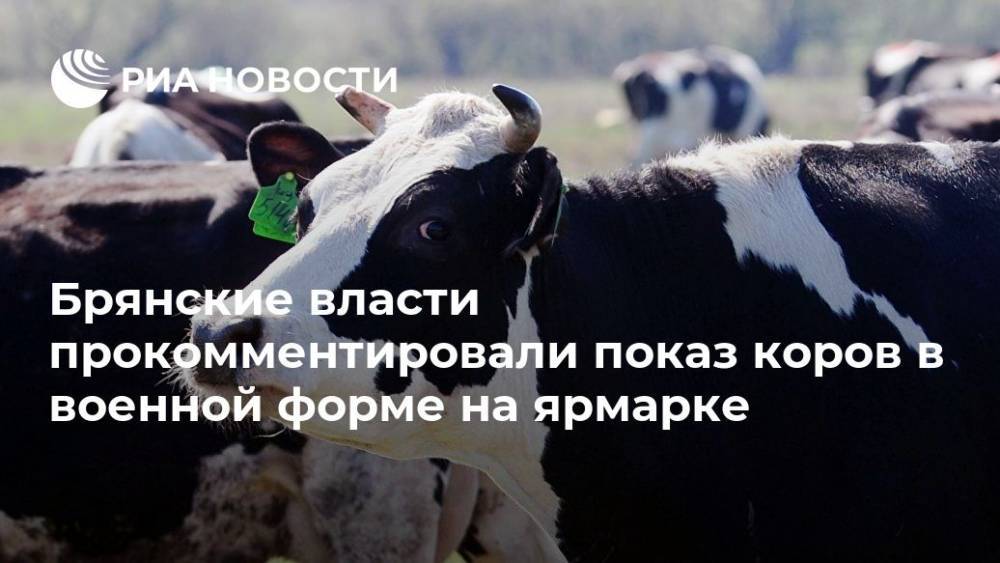 Брянские власти прокомментировали показ коров в военной форме на ярмарке