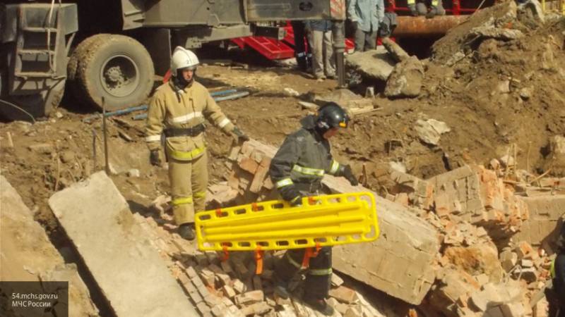 Кинологи обнаружили места возможного нахождения людей в рухнувшем здании в Новосибирске
