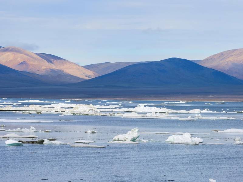 Учёные подтвердили открытие новых островов в Арктике