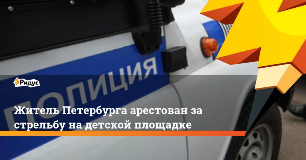 Житель Петербурга арестован за стрельбу на детской площадке. Ридус