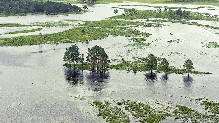 Паводки в Приамурье погубили урожай на площади 225 тыс. га
