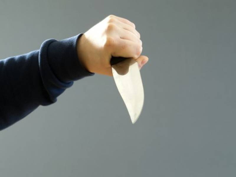 Художница в Тбилиси набросилась с ножом на детей