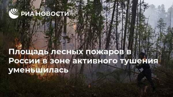 Площадь лесных пожаров в России в зоне активного тушения уменьшилась