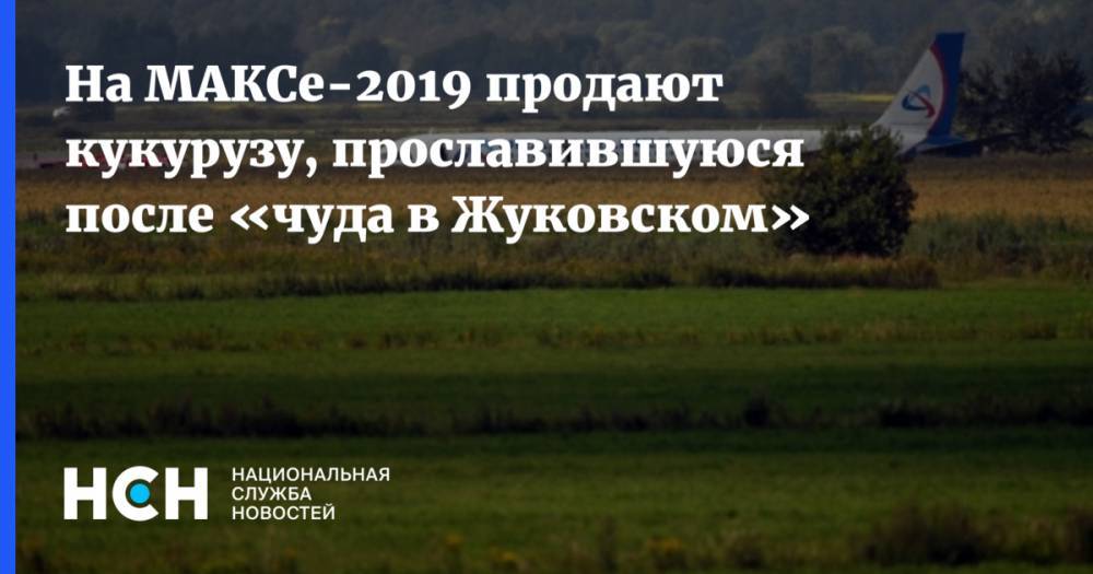 На МАКСе-2019 продают кукурузу, прославившуюся после «чуда в Жуковском»