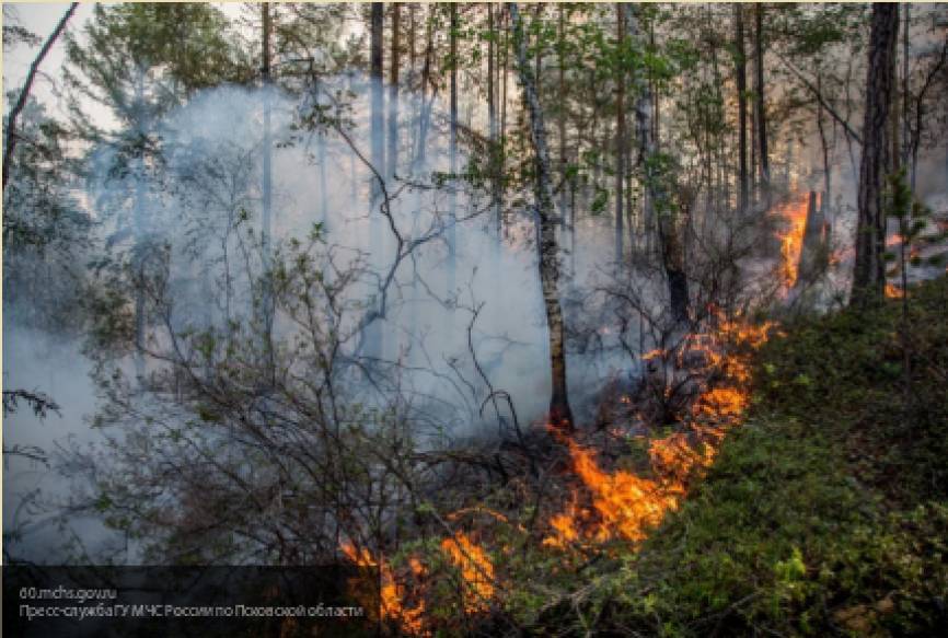 Спасатели за сутки ликвидировали семь лесных пожаров в Якутии