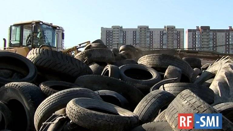 В Петербурге вывезут более 35 тонн мусора с незаконной свалки