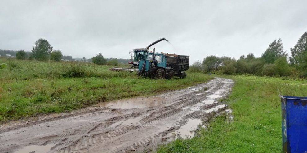 В Глазовском районе признаны пострадавшими 10 сельхозпредприятий и КФХ