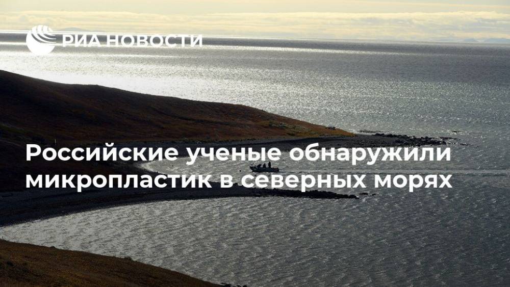 Российские ученые обнаружили микропластик в северных морях - ria.ru - Москва