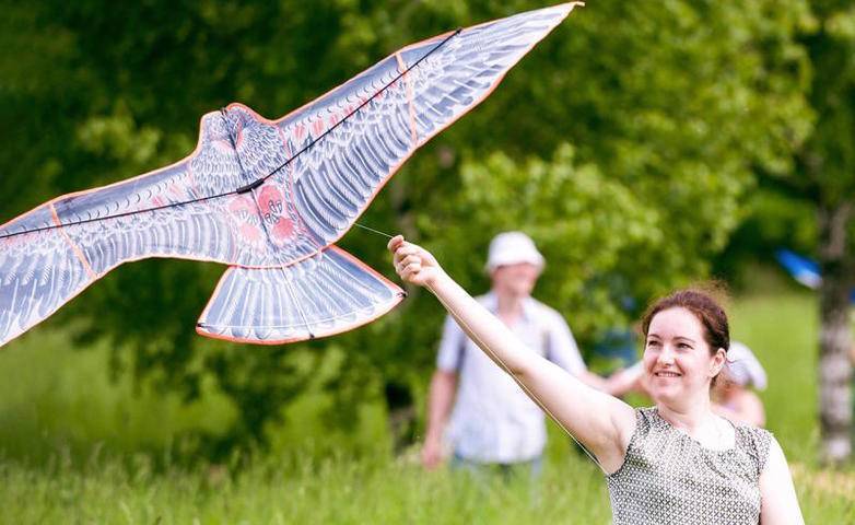 Фестиваль воздушных змеев «Пестрое небо» пройдет в Царицыне
