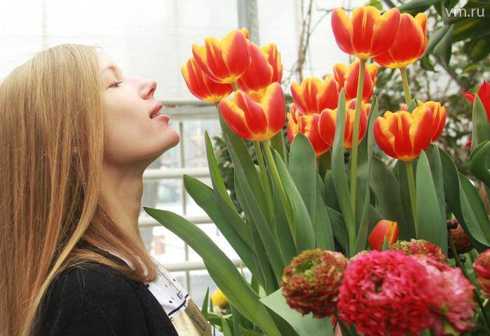 Почти два миллиона тюльпанов высадят в октябре на столичных цветниках
