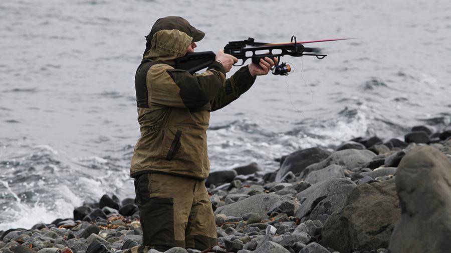 Путин подписал закон о разрешении охотиться с помощью лука и арбалета