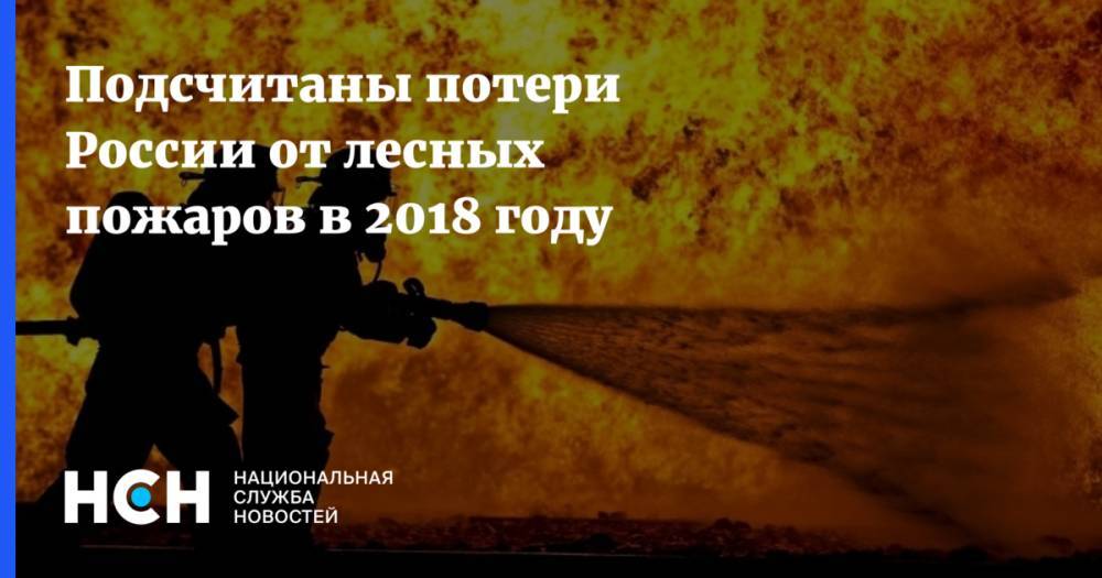 Подсчитаны потери России от лесных пожаров в 2018 году