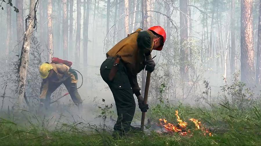 В России за сутки ликвидировали 22 лесных пожара