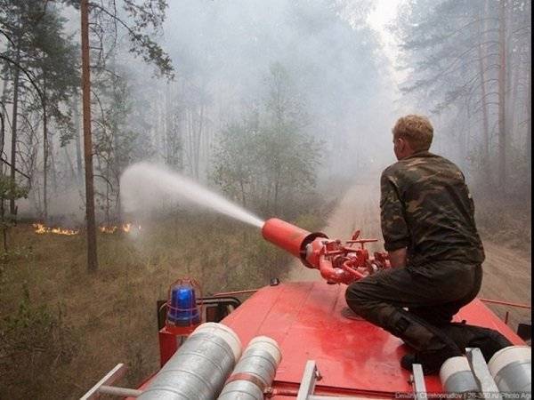 Ущерб от лесных пожаров достиг 2,4 млрд рублей