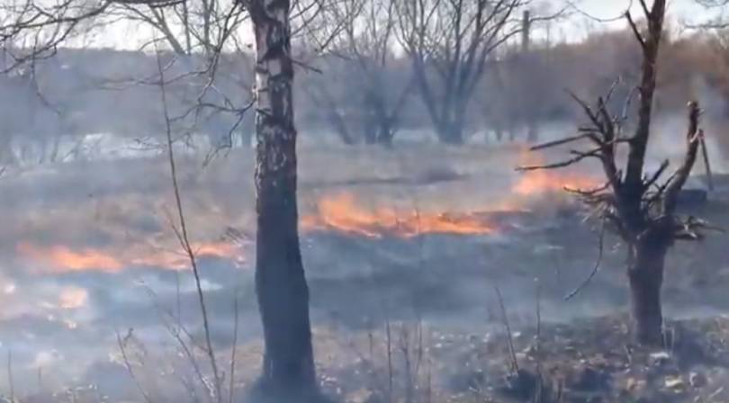 В Госдуме обсудят ответственность за лесные пожары