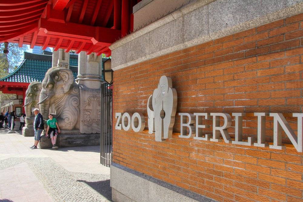Берлинскому зоопарку 175 лет: что предложат посетителям к празднику (фото)