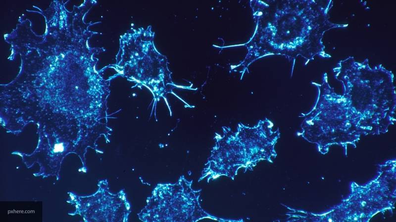 Американские ученые обнаружили причину развития рака