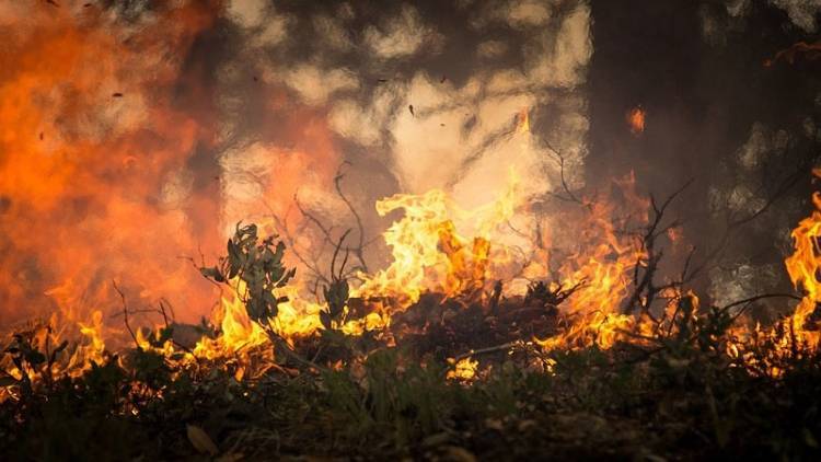 Самолет-амфибия разбился при тушении лесного пожара во Франции