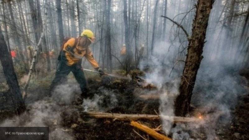 Италия предложила России два самолета для тушения лесных пожаров в Сибири