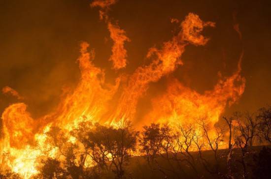 Военная авиация потушила 16 очагов лесных пожаров в Сибири