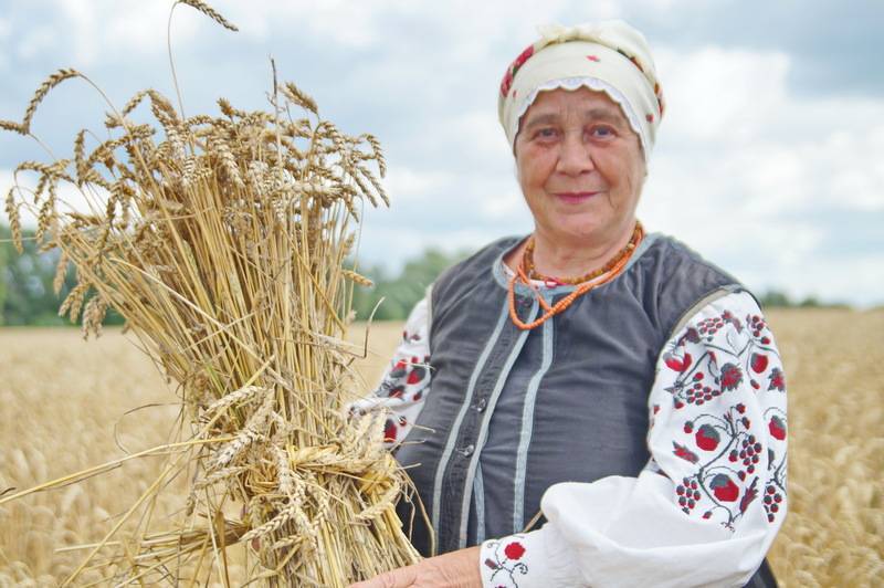 Земельные реформы Зеленского оставят украинцев без работы