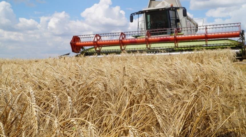 Уборочная кампания на Украине под угрозой: «Укрзалізниця» может оставить страну без запаса пшеницы