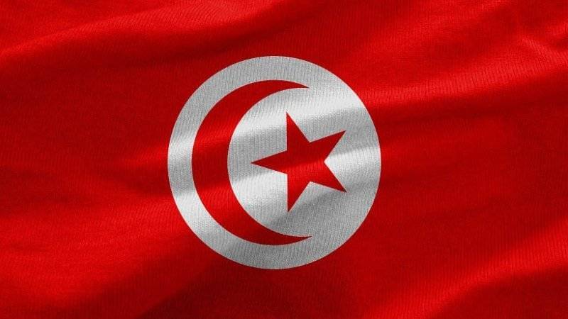 Оставшиеся в живых идлибские террористы бегут в Тунис после атак РФ и САР