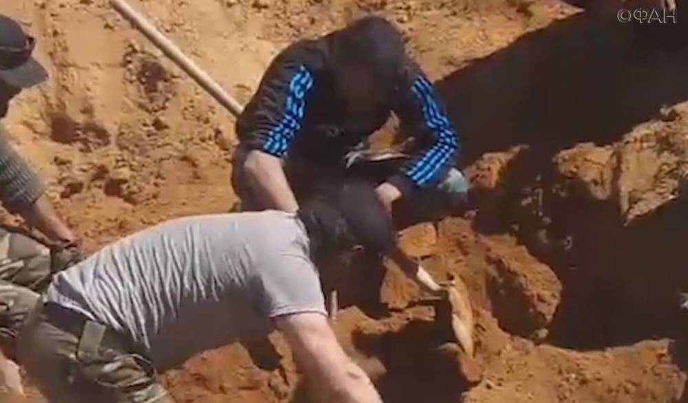 Сирийская армия обнаружила братскую могилу САА в провинции Идлиб