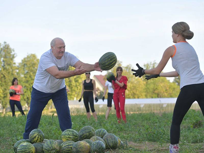 Лукашенко начал собирать арбузы после встречи с Болтоном