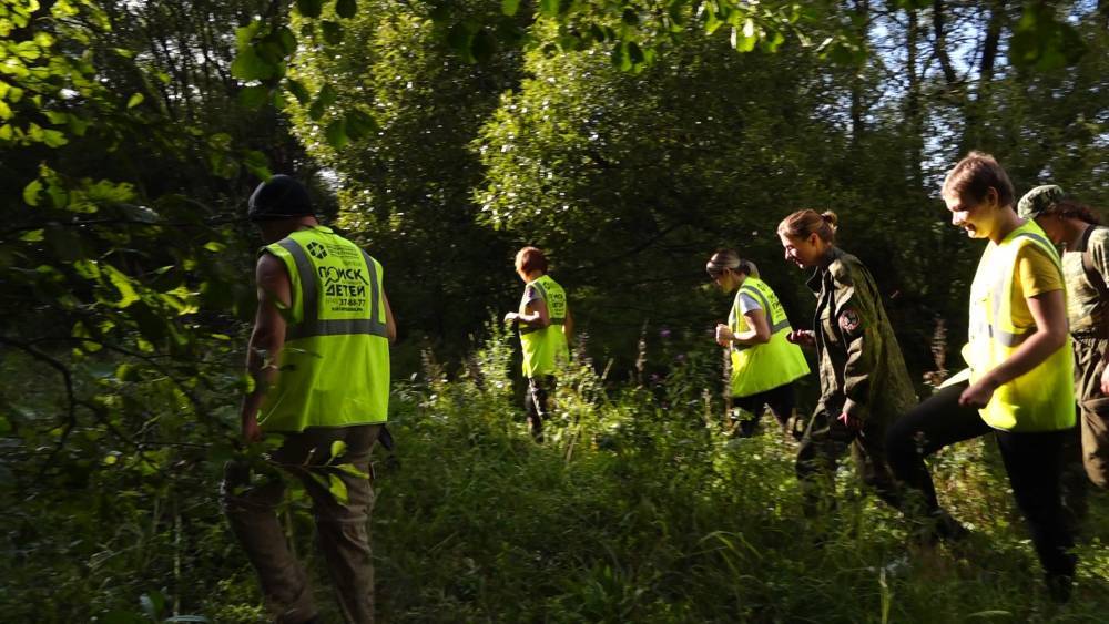 В Ленинградской области полиция разыскивает пропавшую в лесу девочку