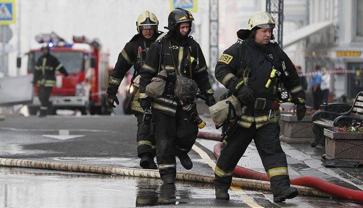 Пожарные в Москве спасли запутавшихся в металлическом проводе бельчат