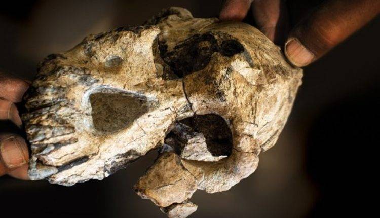 Ученые впервые воссоздали лицо древнейшего предка человека