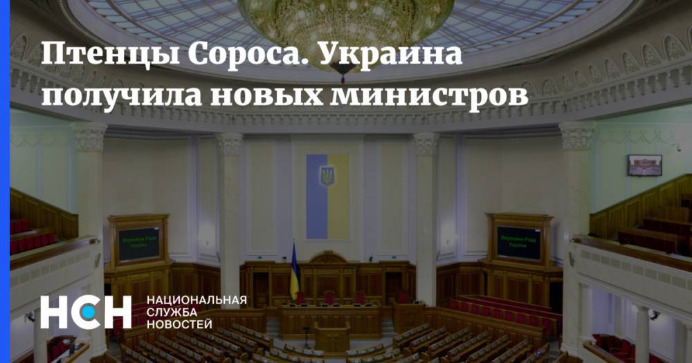 Птенцы Сороса. Украина получила новых министров