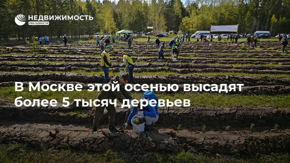 В Москве этой осенью высадят более 5 тысяч деревьев