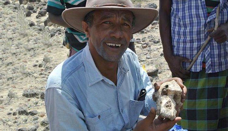 Ученые воссоздали череп жившего 3,8 млн лет назад предка человека