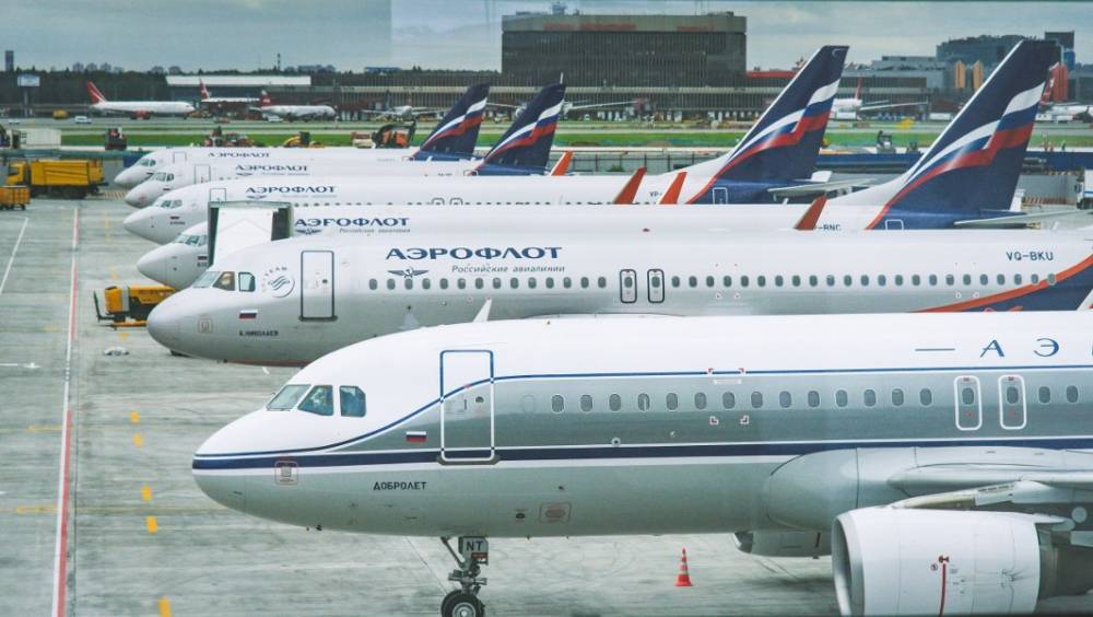 Минтранс выделит 5,6 млн рублей на защиту аэропортов от птиц