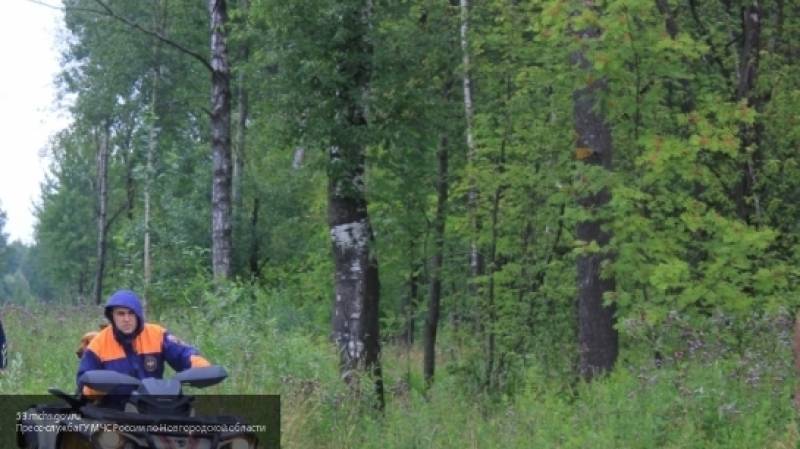 Трое грибников заблудились и четверо суток выживали в лесу в Свердловской области