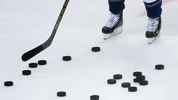 В Саратове детский хоккейный матч завершился массовой дракой — Информационное Агентство "365 дней"