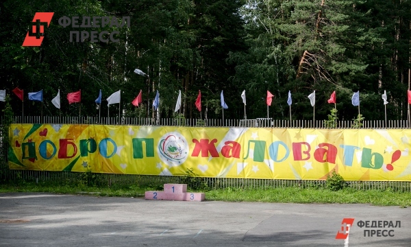 В центре Севастополя устроят массовую вырубку деревьев? | Севастополь | ФедералПресс